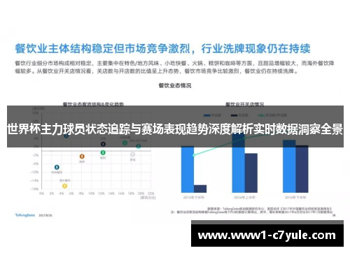世界杯主力球员状态追踪与赛场表现趋势深度解析实时数据洞察全景
